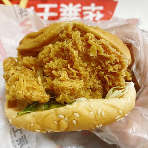 和田华莱士加盟条件及加盟费用多少，和田华莱士加盟条件是什么