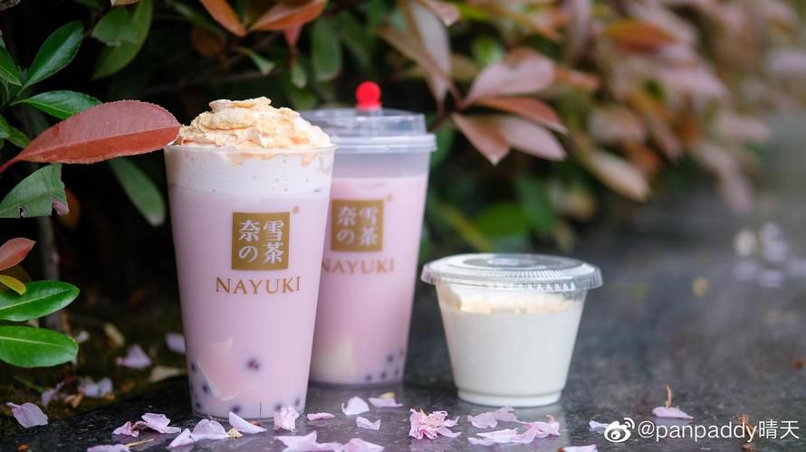 绍兴奈雪加盟费用多少钱，绍兴奈雪加盟流程是什么