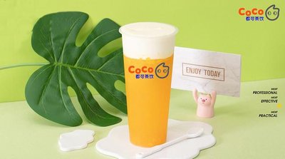 朔州coco奶茶加盟费及加盟条件2023，朔州coco奶茶加盟费大约是多少钱
